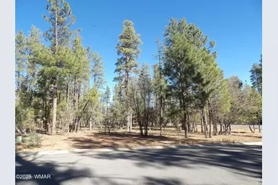 2534 S Aspen Run, Unit 60 #60, Pinetop, AZ 85935 - Photo 3