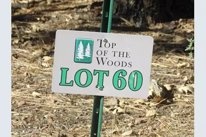 2534 S Aspen Run, Unit 60 #60, Pinetop, AZ 85935 - Photo 1