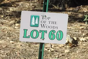 2534 S Aspen Run Unit 60, Pinetop, AZ 85935 - Photo 1