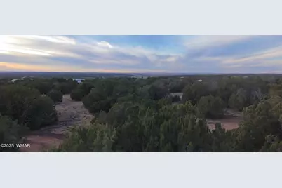 8338 Weber Road, Show Low, AZ 85901 - Photo 21