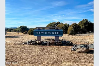1041 S Lorenzo Sitgreaves Drive, Show Low, AZ 85901 - Photo 5