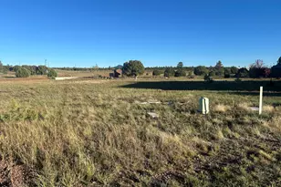 1041 S Lorenzo Sitgreaves Dr, Show Low, AZ 85901 - Photo 1