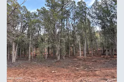 7073 Bustin Dutch Trail, Show Low, AZ 85901 - Photo 7