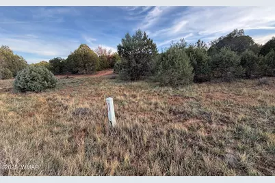 7073 Bustin Dutch Trail, Show Low, AZ 85901 - Photo 3