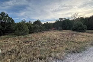 7073 Bustin Dutch Trail, Show Low, AZ 85901 - Photo 1