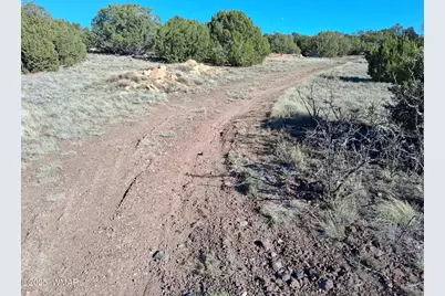 22 N 8171, Concho, AZ 85924 - Photo 3