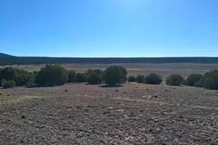 22 N 8171, Concho, AZ 85924 - Photo 1