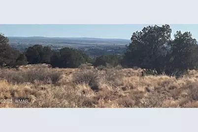 2409 E Mountain View Drive, Snowflake, AZ 85937 - Photo 5