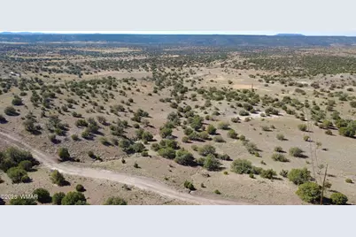 41 Indian Drive, Concho, AZ 85924 - Photo 3