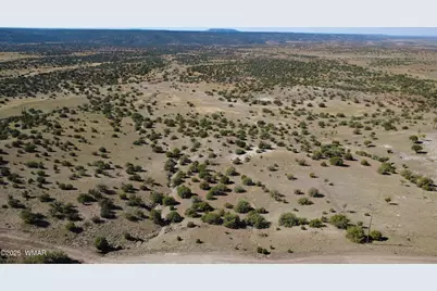 41 Indian Drive, Concho, AZ 85924 - Photo 19