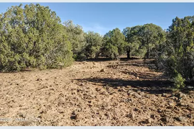 1841 Rocky Bottom Place, Show Low, AZ 85901 - Photo 1