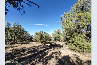 1841 Rocky Bottom Place, Show Low, AZ 85901 - Photo 7