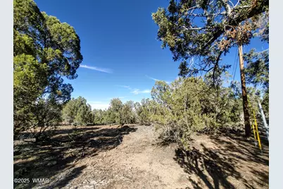 1841 Rocky Bottom Place, Show Low, AZ 85901 - Photo 5