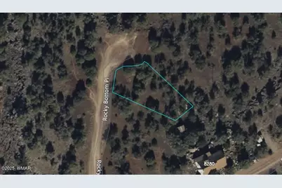 1841 Rocky Bottom Place, Show Low, AZ 85901 - Photo 11