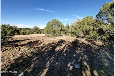 1841 Rocky Bottom Place, Show Low, AZ 85901 - Photo 3