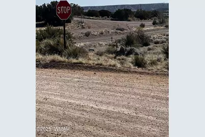 60 Short Lane, Concho, AZ 85924 - Photo 5