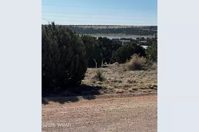 58 Short Lane, Concho, AZ 85924 - Photo 3