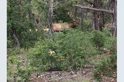 1610 W Snow Creek Trail, Show Low, AZ 85901 - Photo 9