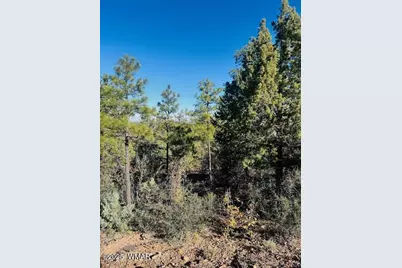 1610 W Snow Creek Trail, Show Low, AZ 85901 - Photo 5