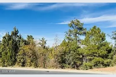 1610 W Snow Creek Trail, Show Low, AZ 85901 - Photo 3