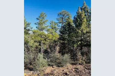 1610 W Snow Creek Trail, Show Low, AZ 85901 - Photo 1