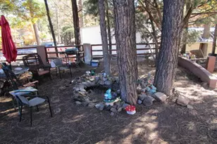 441 W Woodland Lake Rd, Lakeside, AZ 85929 - Photo 3