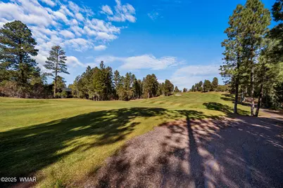 1521 S Little Leaf Lane, Show Low, AZ 85901 - Photo 11