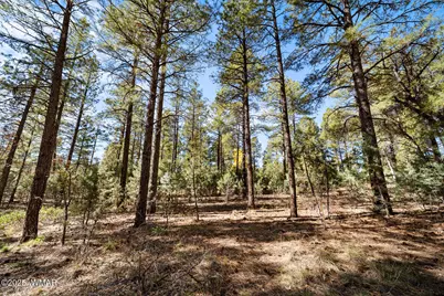 1521 S Little Leaf Lane, Show Low, AZ 85901 - Photo 13