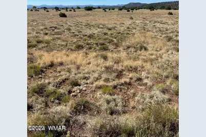 13 County Road 8006, Concho, AZ 85924 - Photo 5