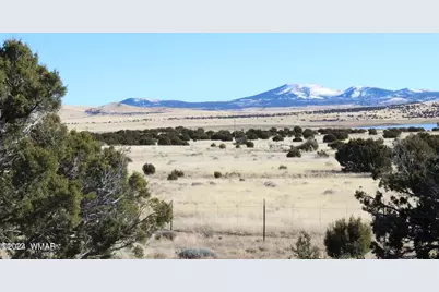 13 County Road 8006, Concho, AZ 85924 - Photo 3