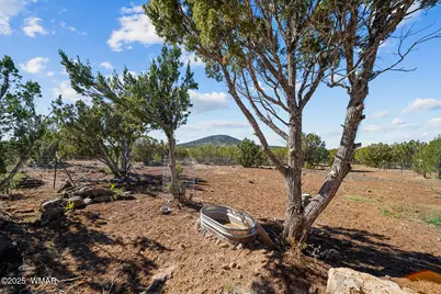 32 &amp; 34 Co Rd N8172, Concho, AZ 85924 - Photo 45