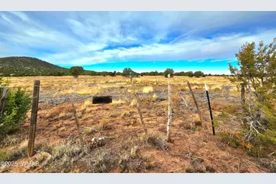 32 &amp; 34 Co Rd N8172, Concho, AZ 85924 - Photo 69