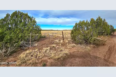 32 &amp; 34 Co Rd N8172, Concho, AZ 85924 - Photo 73