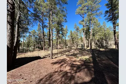 2842 Gold Dust Trail, Show Low, AZ 85901 - Photo 27