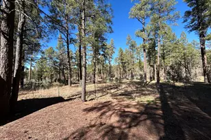2842 Gold Dust Trail, Show Low, AZ 85901 - Photo 27