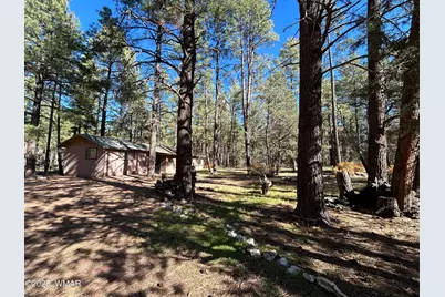 2842 Gold Dust Trail, Show Low, AZ 85901 - Photo 1