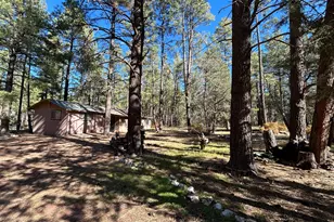 2842 Gold Dust Trail, Show Low, AZ 85901 - Photo 1