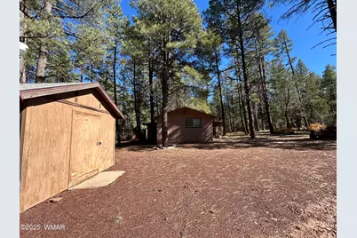 2842 Gold Dust Trail, Show Low, AZ 85901 - Photo 33