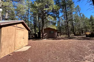 2842 Gold Dust Trail, Show Low, AZ 85901 - Photo 33