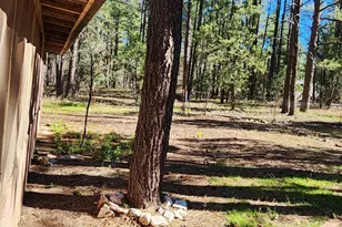 2842 Gold Dust Trail, Show Low, AZ 85901 - Photo 31
