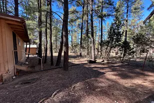 2842 Gold Dust Trail, Show Low, AZ 85901 - Photo 23