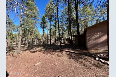 2842 Gold Dust Trail, Show Low, AZ 85901 - Photo 25