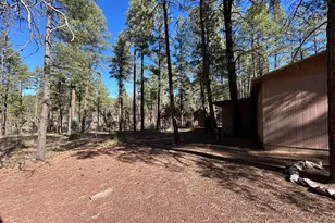 2842 Gold Dust Trail, Show Low, AZ 85901 - Photo 25