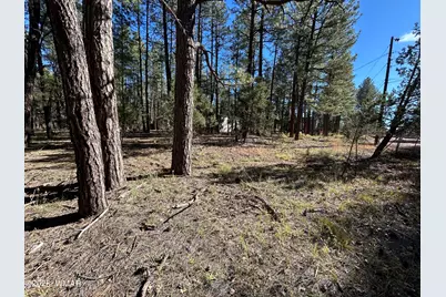 4041 S Gold Dust Trail, Show Low, AZ 85901 - Photo 7