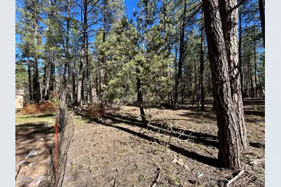 4041 S Gold Dust Trail, Show Low, AZ 85901 - Photo 9