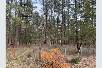 4041 S Gold Dust Trail, Show Low, AZ 85901 - Photo 3