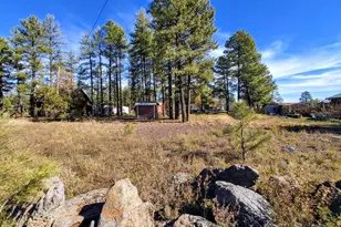 399 Riverside Dr, Lakeside, AZ 85929 - Photo 1