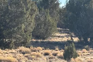 337 N8269, Concho, AZ 85924 - Photo 1