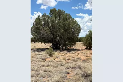 337 N8269, Concho, AZ 85924 - Photo 3