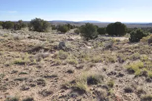 623C Lazy S Ranch Rd, Concho, AZ 85924 - Photo 27